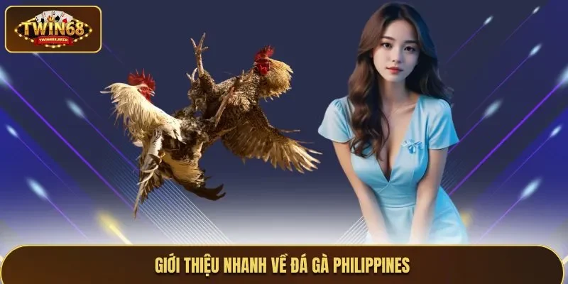 Giới thiệu tất tần tật về đá gà Philippines