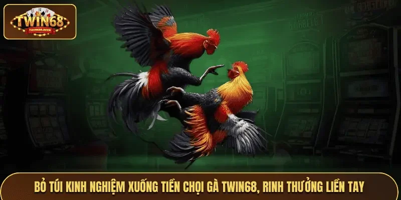 Hiểu rõ đá gà Thái Lan nắm bắt tiền thưởng